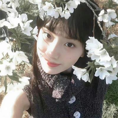 古惑仔2之猛龙过江